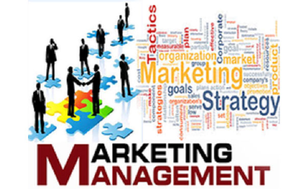 MBA Marketing Management