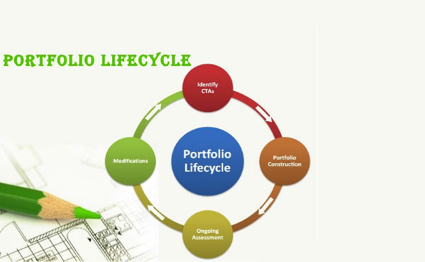 Certificate Program In Portfolio And Lifecycle Management