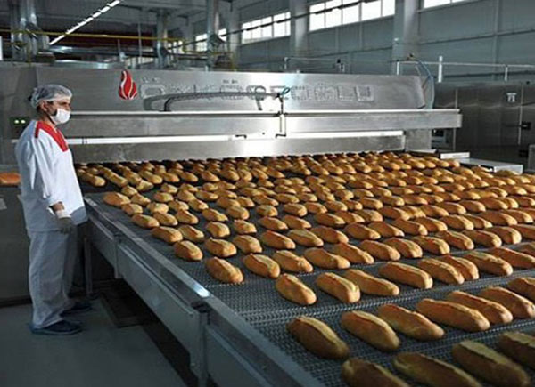 Industrial Visit to Modern Bread Factory